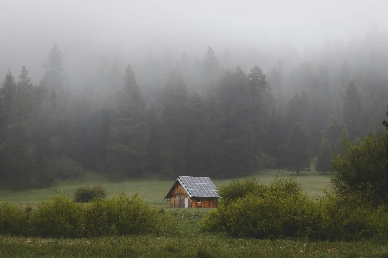 Kleine Jagdhütte auf einer Wiese vor nebligem Waldrand