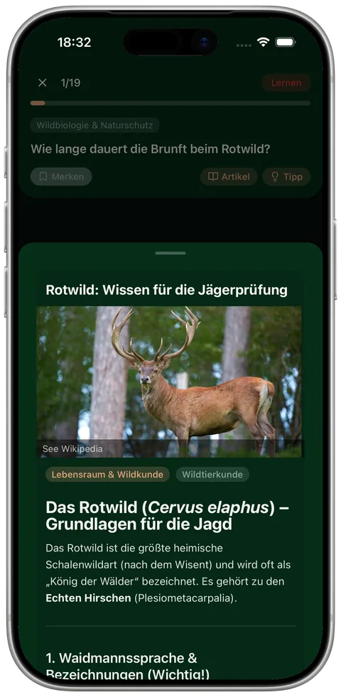 Erklärender Fachartikel, geöffnet direkt aus einer Prüfungsfrage