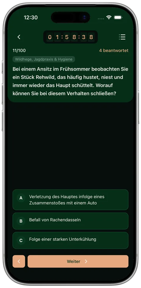 Prüfungssimulation: Frage 11 von 100 mit laufendem Timer
