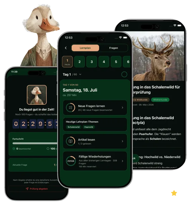 Jagdkompass-App: Prüfungssimulation, Lernplan und Fachartikel auf drei iPhones